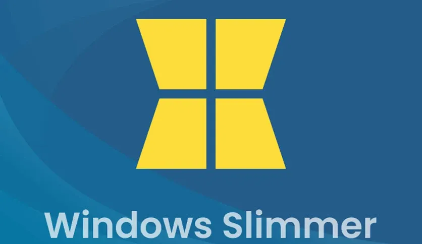 Auslogics Windows Slimmer Professional 5 2 0 6