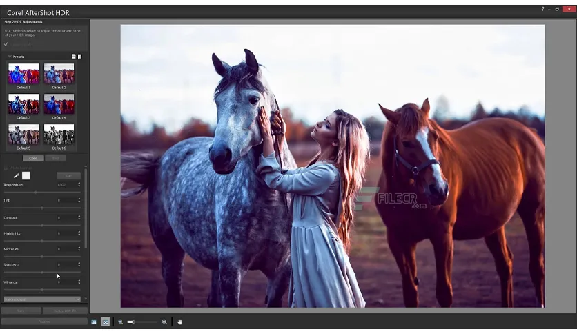 Corel Aftershot Hdr 3 7 0 446 Free Download