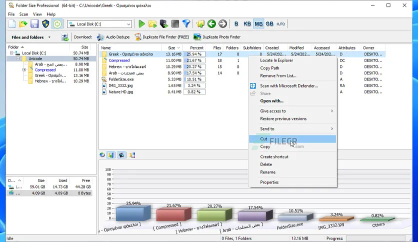 Folder Size Professional 4 5 0 0 Full Version Download