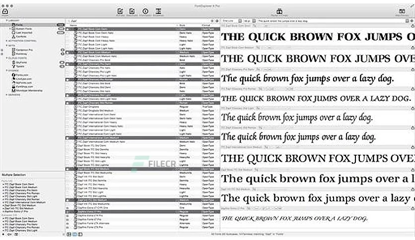 Fontexplorer X Pro 7 3 0 For Macos Free Download