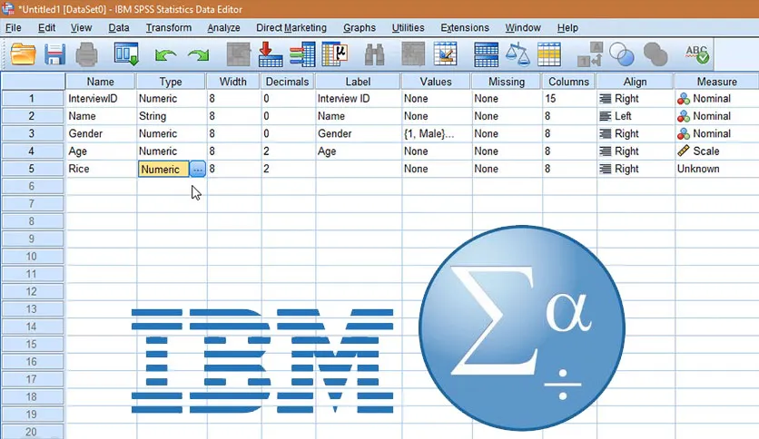 Ibm Java