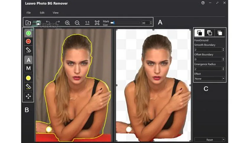 Leawo Photoins Pro 4 0 0 2 Free Download