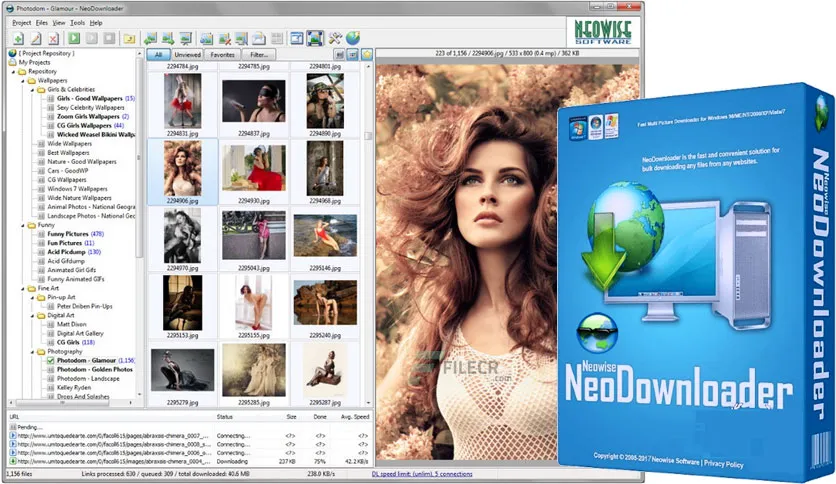 Neodownloader 4 2 0 285 Free Download