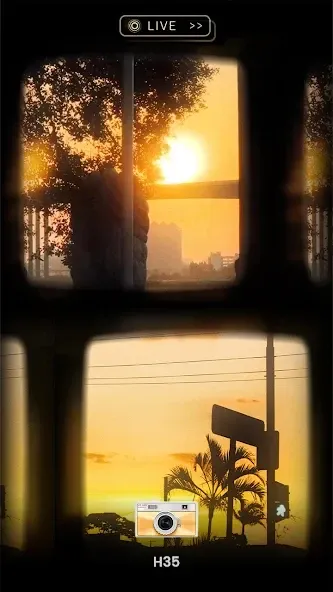 Oldroll Vintage Film Camera Mod Apk Free Download