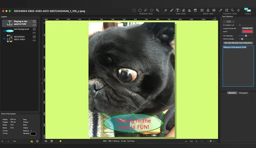Seashore For Macos Download Latest Version