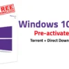 Windows 10 Professional Preactivated Latest Vesion